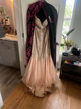 Terani Couture Blush Pink Prom Dress